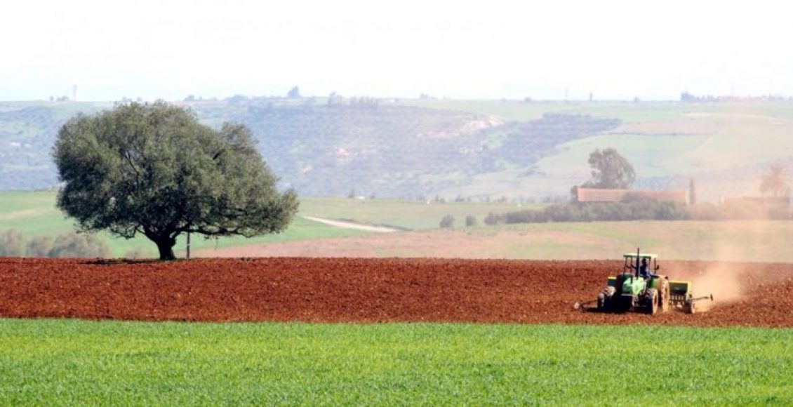 أفضل 11 مشاريع فلاحية مربحة في تونس 2021