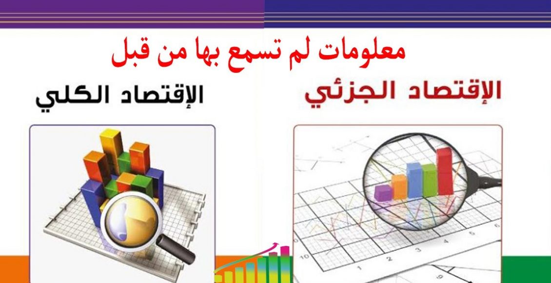 ما الفرق بين الاقتصاد الجزئي والكلي والعلاقة بينهما ؟
