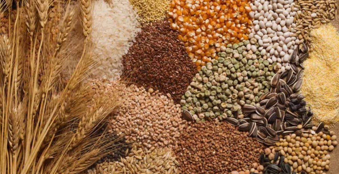 دراسة جدوى مشروع تجارة وبيع الأعلاف والحبوب