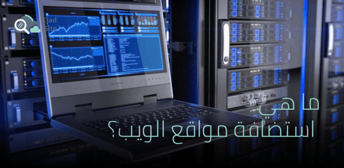 ما هي استضافة المواقع Web Hosting