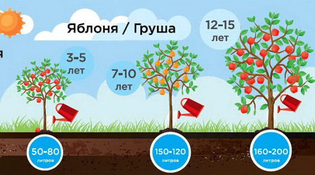 تجربتي مع شرب 3 لتر ماء يوميا للتنحيف