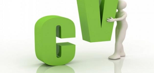 نبذة تعريفية للسيرة الذاتية
