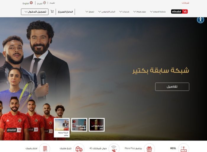طريقة دفع فاتورة النت بالفيزا