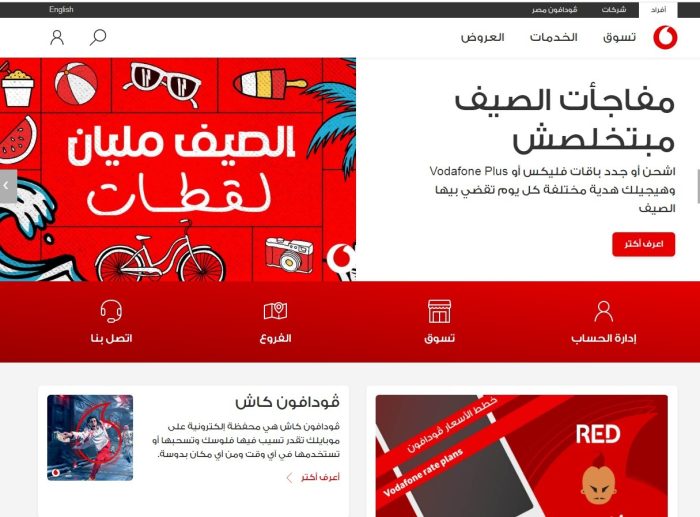 طريقة دفع فاتورة النت بالفيزا