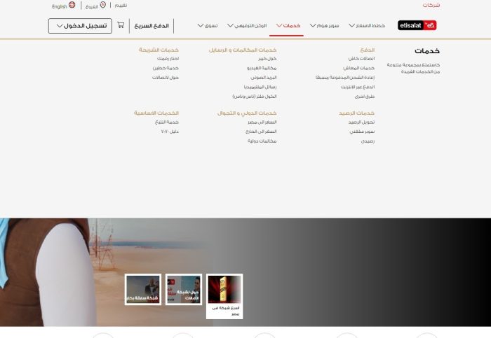 طريقة دفع فاتورة النت بالفيزا