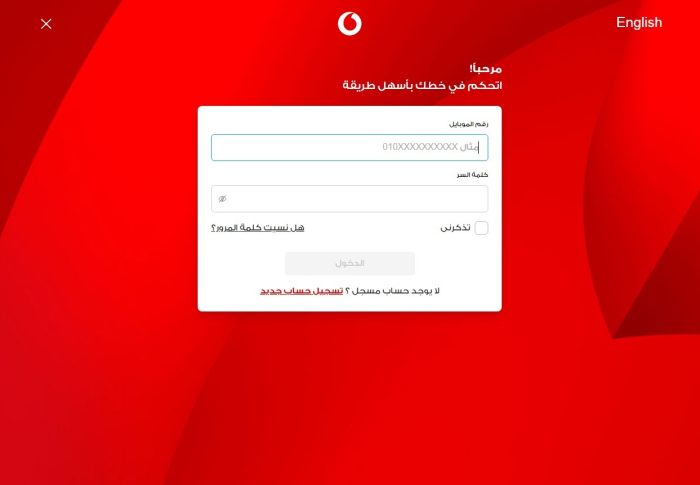 طريقة دفع فاتورة النت بالفيزا