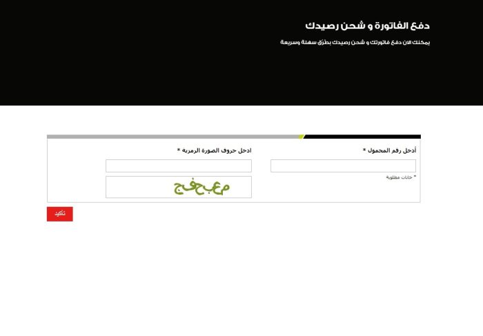 طريقة دفع فاتورة النت بالفيزا