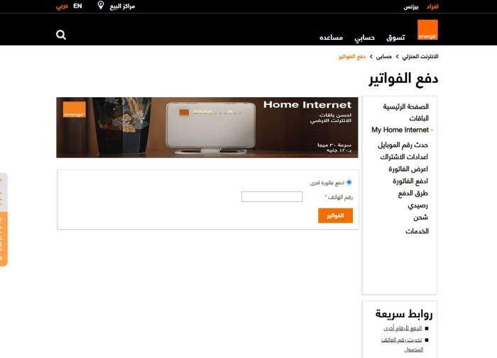 طريقة دفع فاتورة النت بالفيزا