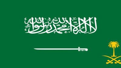 القطاعات التي لا يشملها التخصيص