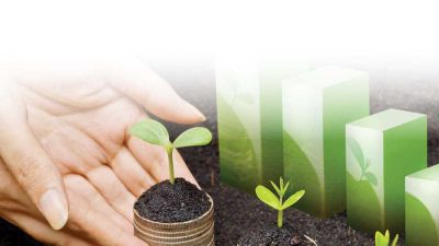 البنوك المصرية تضع تمويل الاقتصاد الأخضر في الأولوية بتوجيهاتٍ من البنك المركزي