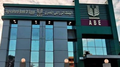 البنك الزراعي يموّل أول قرية زراعية في مصر بمساحة 2200 فدان
