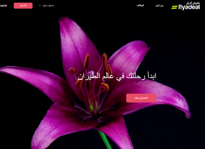 رواتب مضيف طيران اديل 14