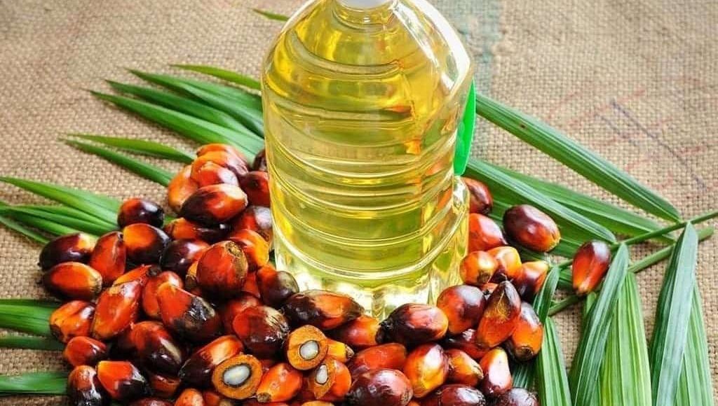 زيت النخيل يجلب 22 مليار دولار للاقتصاد الماليزي