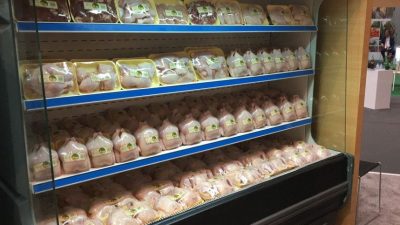 أفضل شركات الدجاج المبرد في السعودية