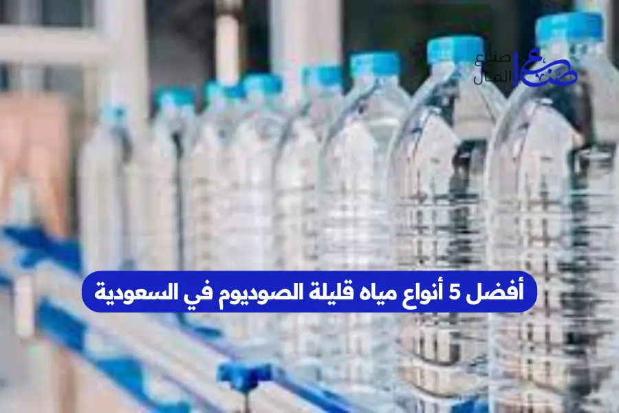 أفضل 5 أنواع مياه قليلة الصوديوم في السعودية
