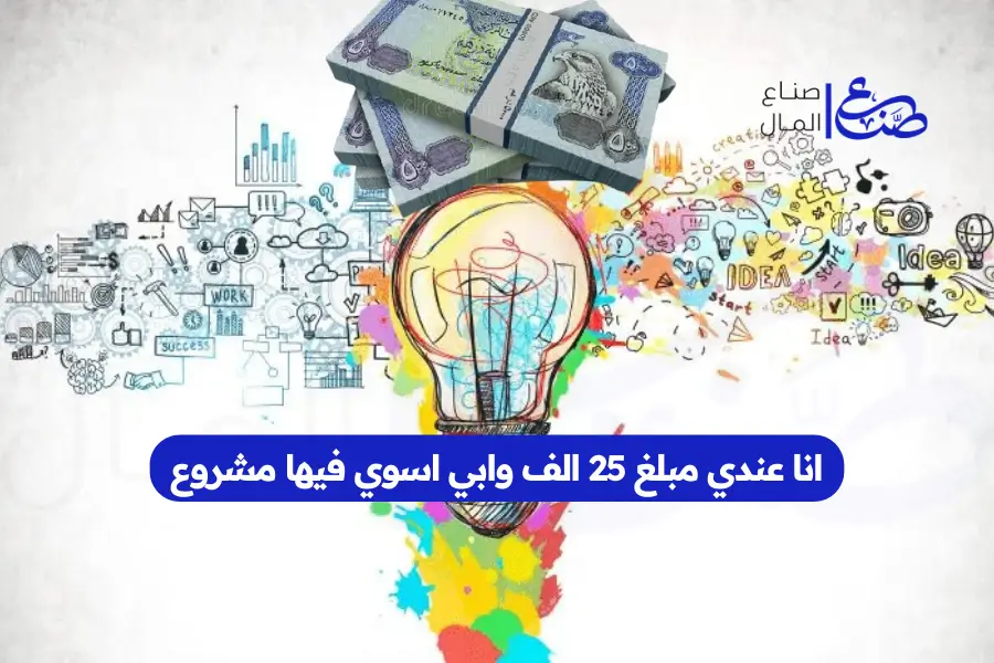 انا عندي مبلغ 25 الف وابي اسوي فيها مشروع