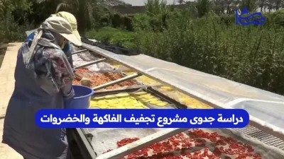 دراسة جدوى مشروع تجفيف الفاكهة والخضروات
