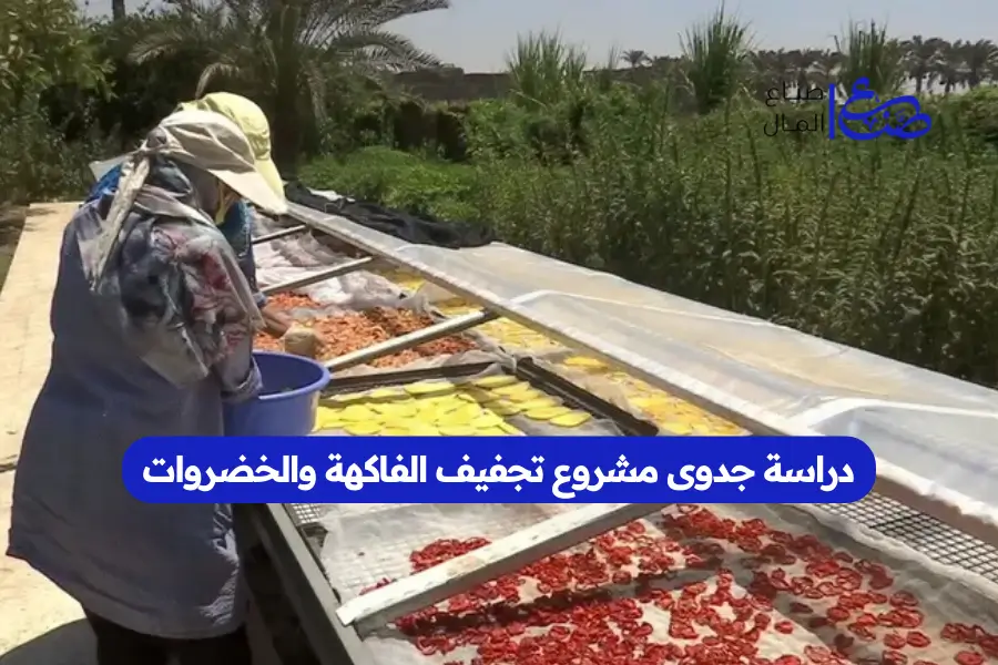 دراسة جدوى مشروع تجفيف الفاكهة والخضروات