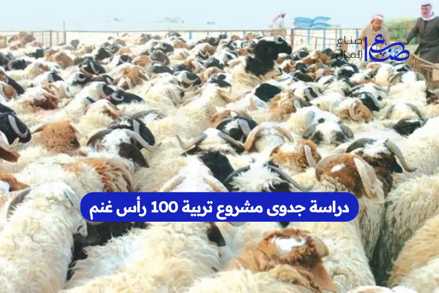 دراسة جدوى مشروع تربية 100 رأس غنم