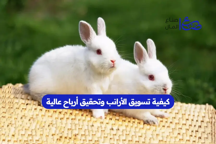 كيفية تسويق الأرانب وتحقيق أرباح عالية
