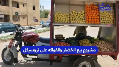 مشروع بيع الخضار والفواكه على تروسيكل