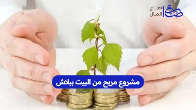 مشروع مربح من البيت ببلاش