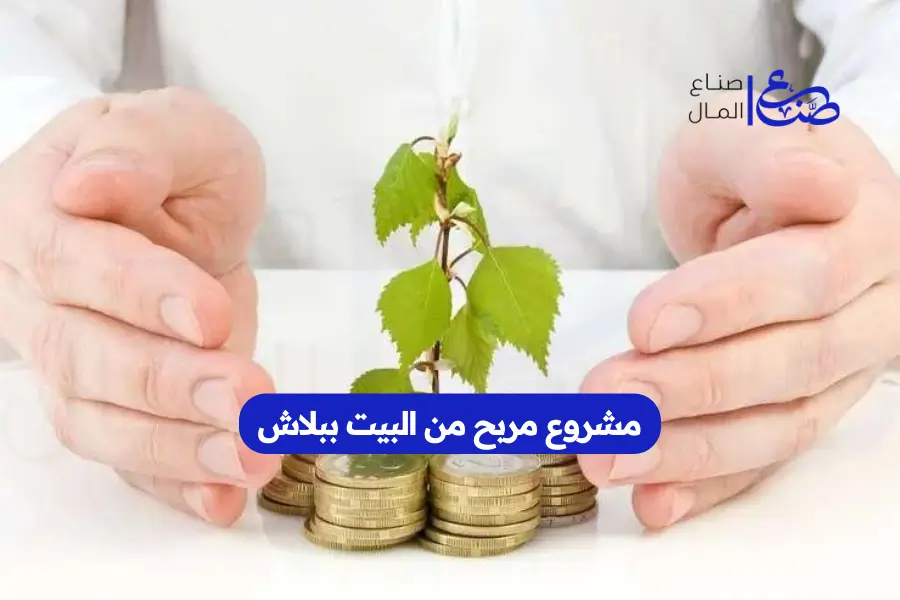 مشروع مربح من البيت ببلاش