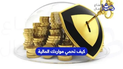 كيف تحمي مواردك المالية