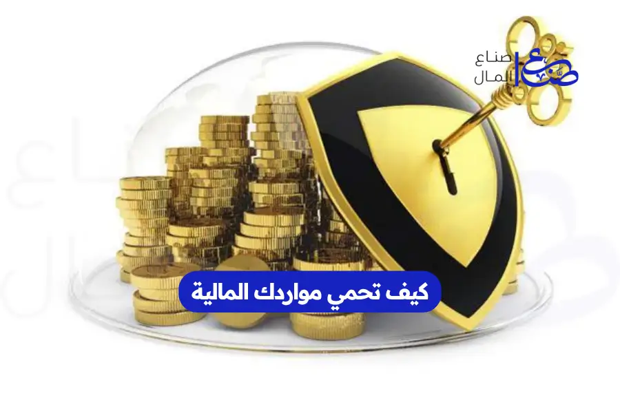 كيف تحمي مواردك المالية